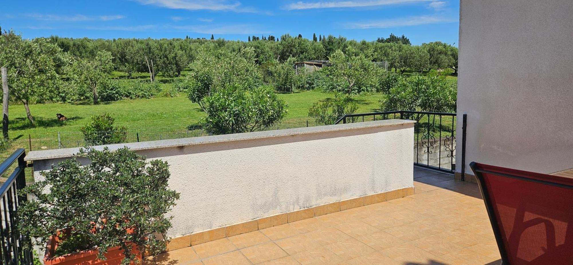 Sea View Apartment Renzzo Strunjan Exterior foto