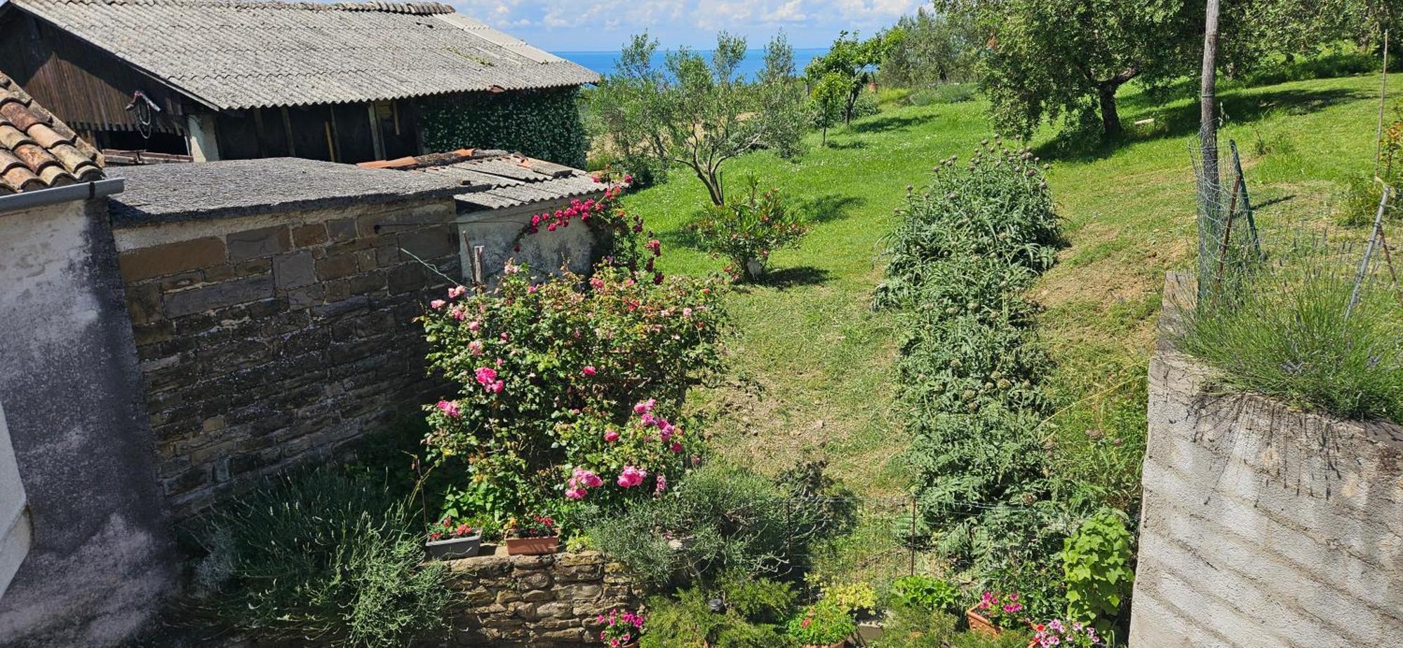 Sea View Apartment Renzzo Strunjan Exterior foto